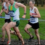 Mark Wynne