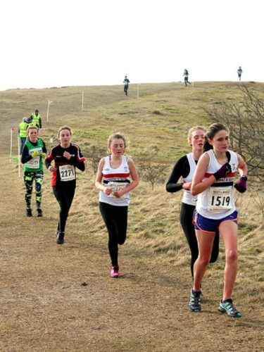 Hannah Doyle, Phoebe Lucas & Faye Hannaway