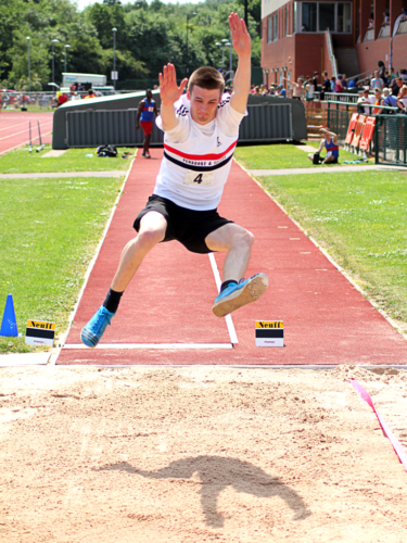 Matt Ingram